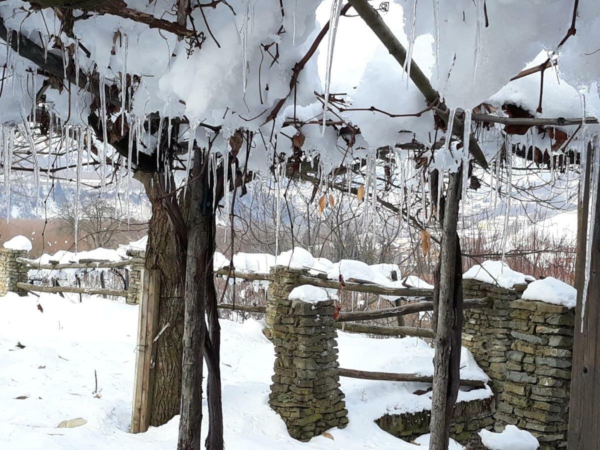 Farm stay Cascina Binelli Dogliani