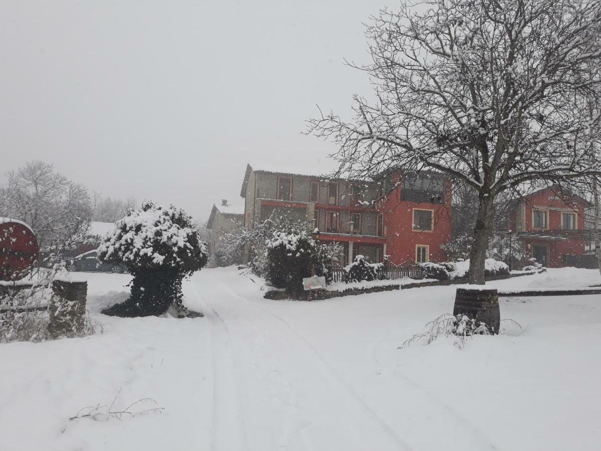 Cascina Binelli Farm stay Dogliani